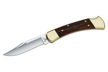 Buck -110 Folding Hunter Knife (BU-BU0110BRS)